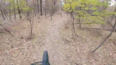 Profesyonel bir ekstrem bisikletçi, ormanın sonbahar teknik patikası boyunca yüksek hızda gider. Birinci şahıs görüşü. POV.