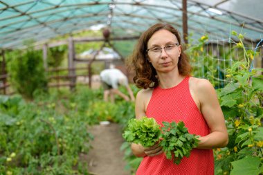 Serada hasat yapan genç bir kadın. Tarım.