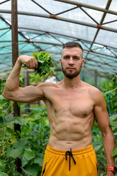Svalnatý Muž Předvádí Své Bicepsy Zahradě Přírodní Výživa — Stock fotografie