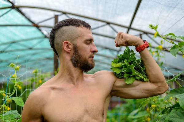 Svalnatý Muž Předvádí Své Bicepsy Zahradě Přírodní Výživa — Stock fotografie