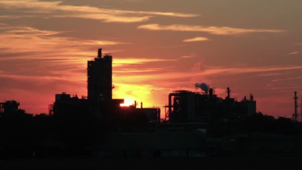 Zonsondergang van fabrieksinstallaties — Stockvideo