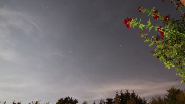 Astro-Timelapse — Videoclip de stoc