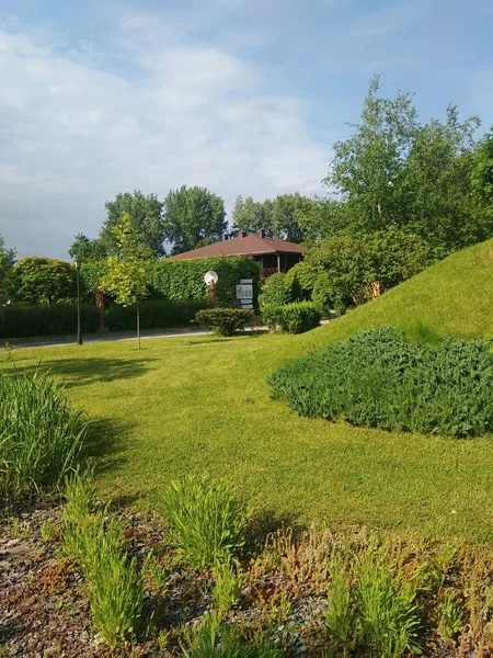 Prachtig Uitzicht Het Park — Stockfoto