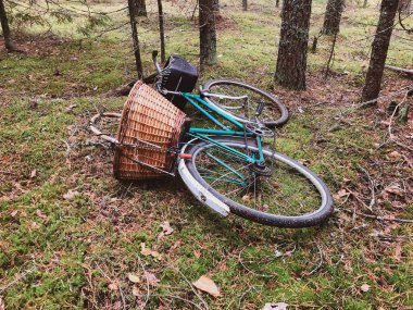 Aktif eğlence için hasır sepeti olan iki tekerlekli bir bisiklet ormandaki çimlerin üzerinde yatar.