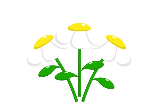 Bouquet White Daisies White Background Vector Illustration Holidays Birthday March — стоковый вектор