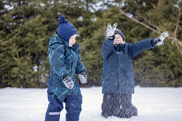 Çocuklar Birlikte Eğlenip Oynuyorlar Birbirlerine Kar Atıyorlar Kış Eğlencesi — Stok fotoğraf