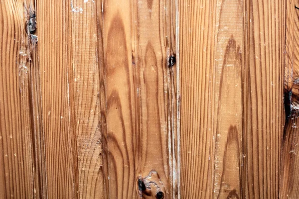 Düğümlü ahşap desen ağacı arkaplanı