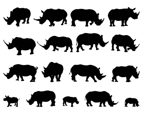 Silhouettes Noires Rhinocéros Sur Fond Blanc — Image vectorielle
