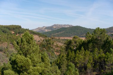 View of Marvao village on top of the mountain range on the middle of the trees landscape on a sunny day in Alentejo, Portugal