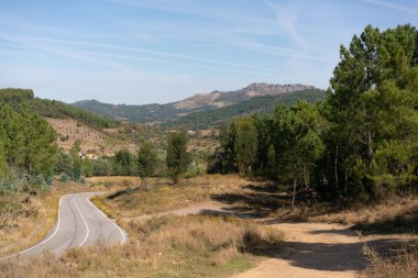 View of Marvao village on top of the mountain range on the middle of the trees landscape with a road on a sunny day in Alentejo, Portugal