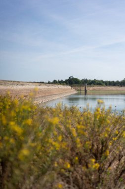 Divor dam landscape on a cloudy day in Alentejo with yellow flowers on the foreground, Portugal