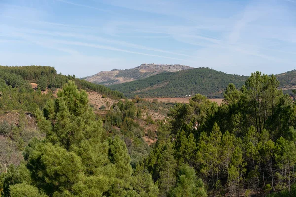 View Marvao Village Top Mountain Range Middle Trees Landscape Sunny — Stock fotografie
