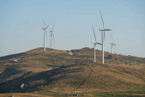 Wind Turbines Eolic Renewable Energy Fafe Landscape Portugal — 图库照片