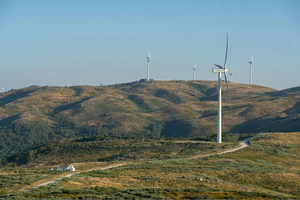 Wind Turbines Eolic Renewable Energy Fafe Landscape Portugal — 图库照片