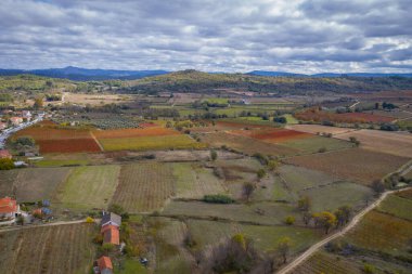 Vineyards around Belmonte drone aerial view with autumn red and yellow colors, in Portugal