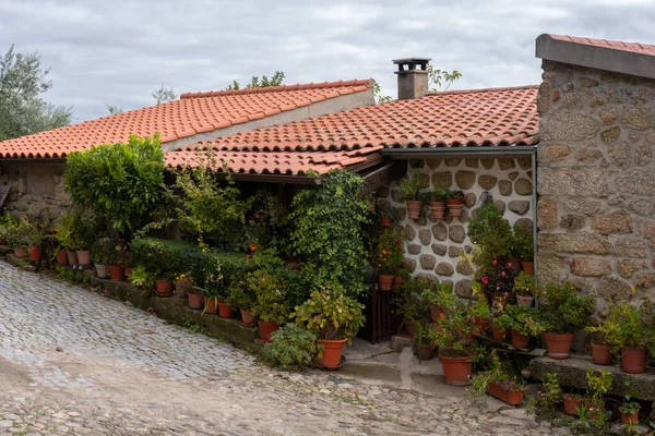 Traditional House Full Plants Flowers Belmonte Portugal — Fotografia de Stock