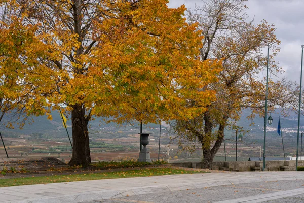 Belmonte Street Yellow Leaves Tree Landscape View Serra Estrela Mountain — Stok fotoğraf