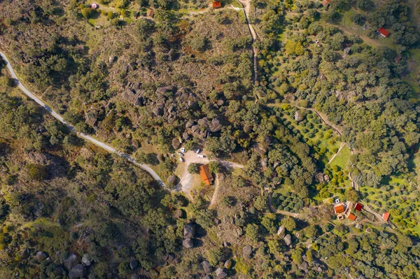 Drone Aerial Top View Camper Vans Solar Panels Nature Green — Stockfoto