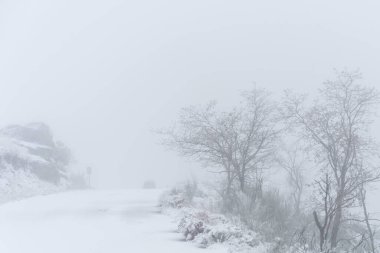 Portekiz 'in kuzeyinde uzak bir köyde karla kaplı bir yol, Vila Real