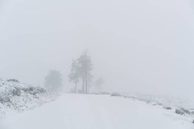 Portekiz 'in kuzeyinde uzak bir köyde karla kaplı bir yol, Vila Real