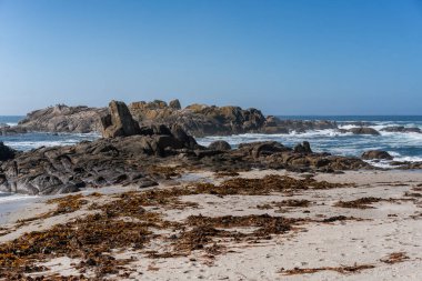 İspanya 'nın kuzeyindeki Galiçya' da Caldebarcos 'ta kayaların üzerindeki martılar.