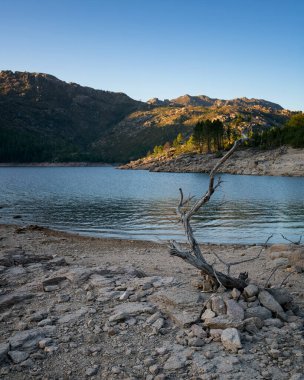 Portekiz, Geres Ulusal Parkı 'ndaki Vilarinho das Furnas Barajı' ndaki ağaç manzarası ve dağlar