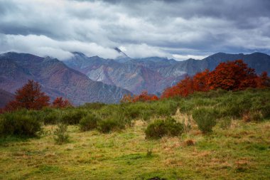 İspanya 'nın Puerto de Panderrueda kentindeki Picos de Europa ulusal parkında sonbaharda dağlık arazi bulutlu bir günde