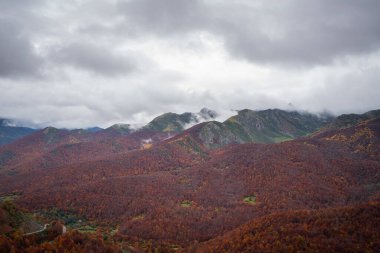 İspanya 'daki Picos de Europa ulusal parkında sonbahar kırmızı ağaçları manzarası
