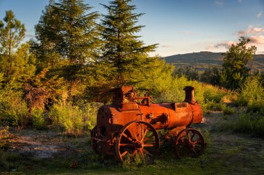 Portekiz, Sortelha 'da yeşil bir dağ manzarasında terk edilmiş eski antika bir kömür treni.