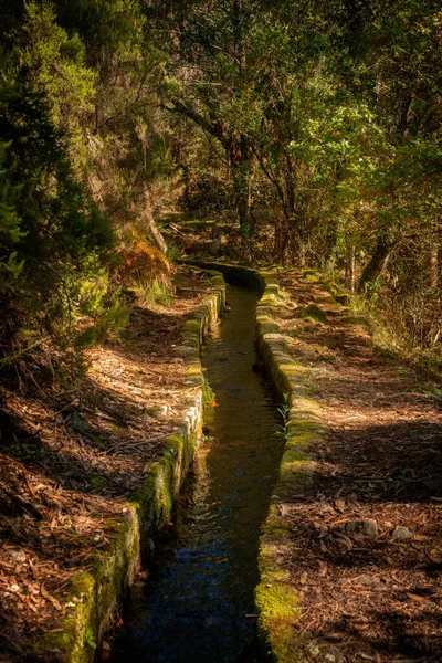 Walking Trail Fall Nature Landscape River Mondim Basto Portugal — Stock Photo, Image