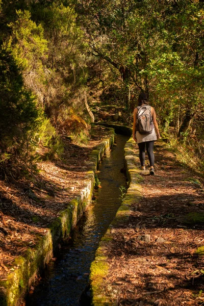 Mujer Caucásica Senderismo Sendero Naturaleza Paisaje Otoño Paisaje Con Río — Foto de Stock