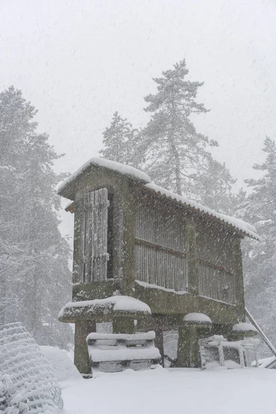 Espigueiro Традиционная Структура Хранения Кукурузы Белоснежном Зимнем Ландшафте Выпадением Снега — стоковое фото