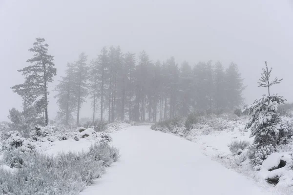 Дорога Покрытая Снегом Отдаленной Деревне Севере Португалии Вила Реаль — стоковое фото