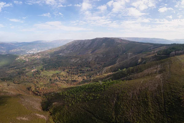 Portekiz Mondim Basto Sonbahar Döneminde Çam Ağaçları Dağların Insansız Hava — Stok fotoğraf