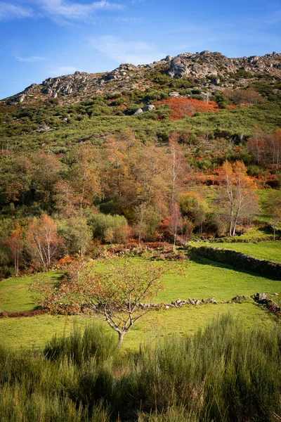 Otoño Otoño Naturaleza Paisaje Mondim Basto Portugal — Foto de Stock