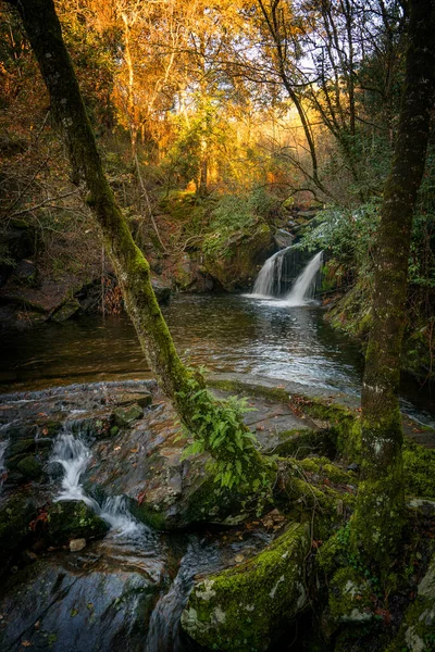 Magical Waterfall Tree Nature Landscape Mondim Basto Portugal — Stock Photo, Image