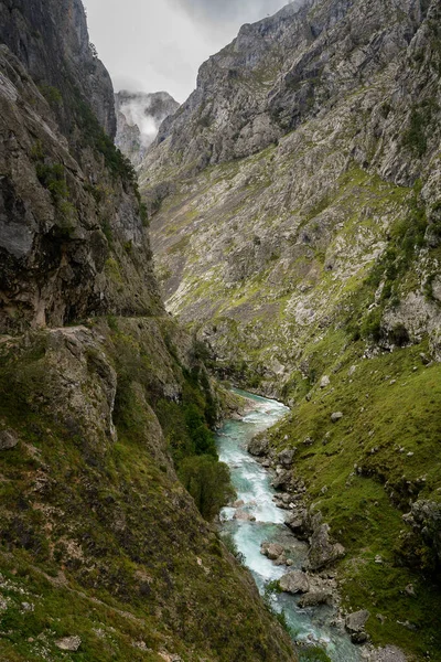 Ruta Del Cares Nyomvonal Természet Táj Picos Europa Nemzeti Park — Stock Fotó