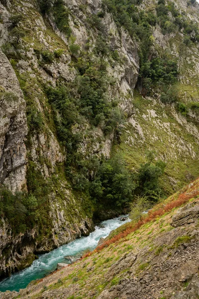 Ruta Del Cares Picos Europa Ulusal Parkı Spanya Doğa Manzarasını — Stok fotoğraf