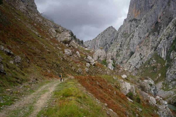 スペインのPicos Europa国立公園にあるRuta Del Care Trailでは 黄色いジャケットと犬の散歩を楽しめます — ストック写真