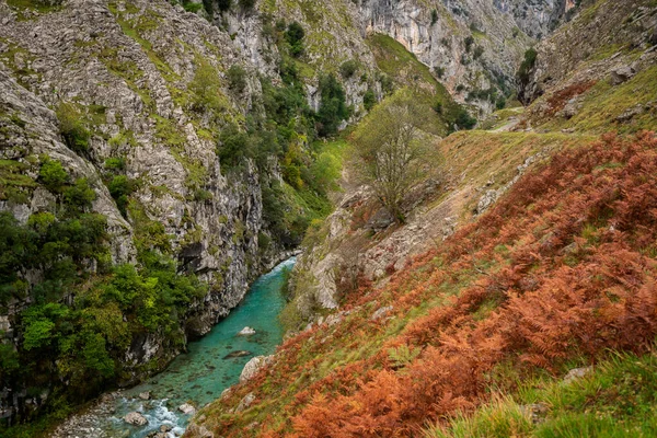 Ruta del Cares trail nature landscape in Picos de Europa national park, Spain