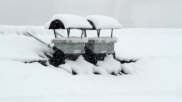 Schnee auf dem Dach — Stockvideo