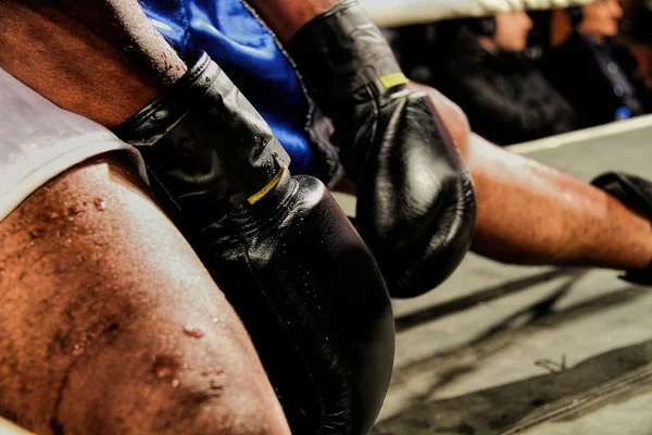 profesyonel boks maçı sırasında Boks eldiveni