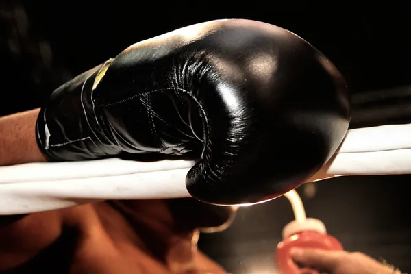 Bokshandschoenen tijdens een professioneel bokswedstrijd Stockfoto