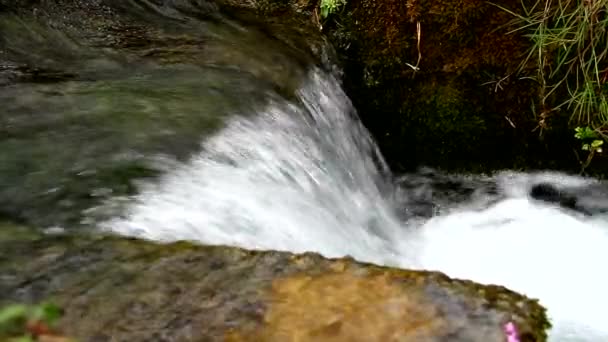 Mooie kleine waterval op bergbeek — Stockvideo