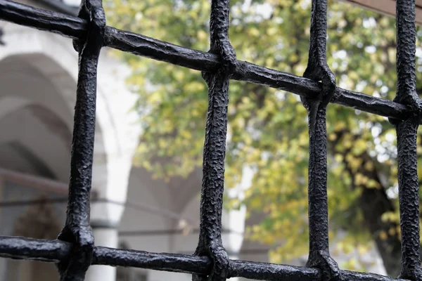 Iron bars on a window