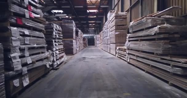 Footage Warehouse Xylon Corporation Sarajevo Located Sarajevo Kanton Sarajevo Bosnia — Video Stock