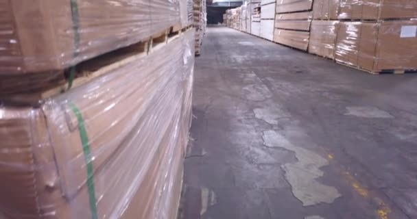 Footage Warehouse Xylon Corporation Sarajevo Located Sarajevo Kanton Sarajevo Bosnia — Vídeo de Stock