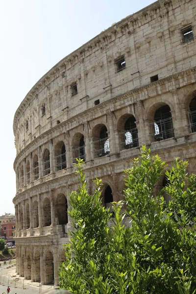 Roma Itália Junho 2019 Coliseu Roma Coliseu Mais Importante Roma — Fotografia de Stock