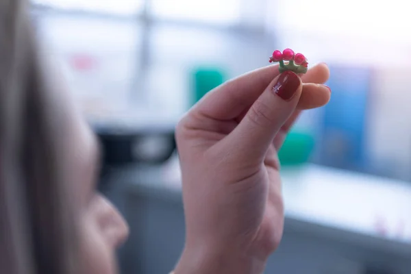 Tandprotes Proteser Proteser Studie Och Ett Bord Med Dentala Verktyg — Stockfoto