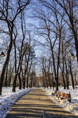 Kalemegdan Parkı'nda kış